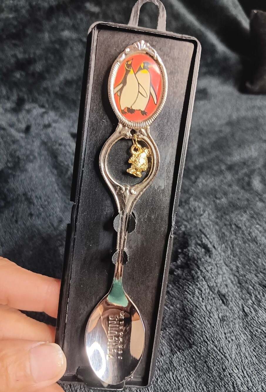 SeaWorld Penguins Collectible Souvenir Spoon in Display Case